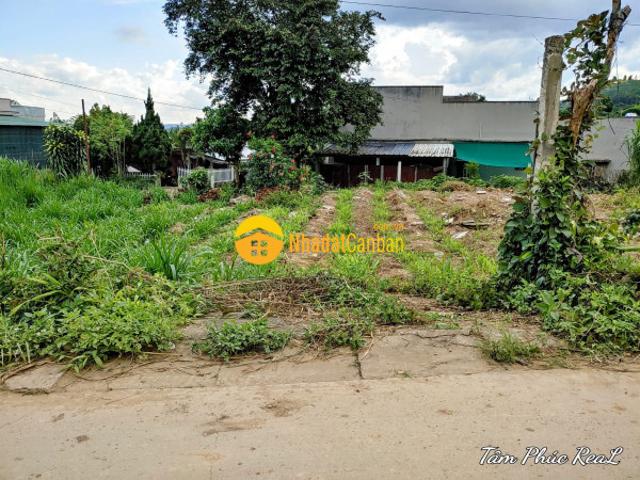 Mặt bằng bán