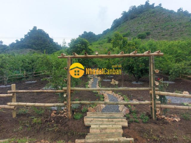Mặt bằng bán