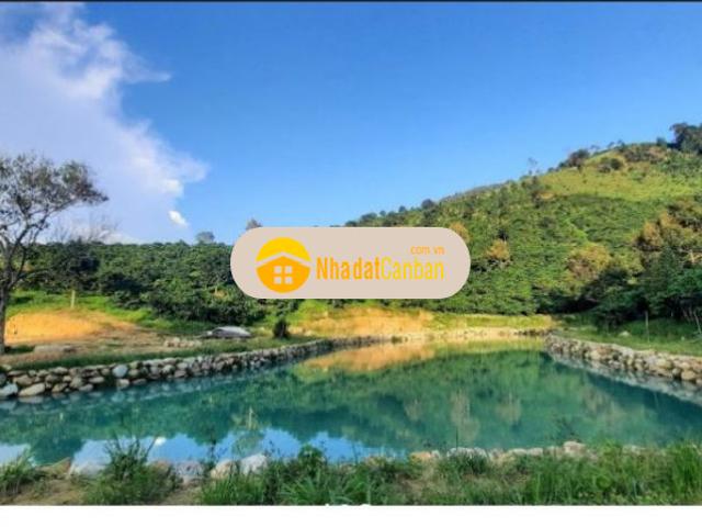Mặt bằng bán