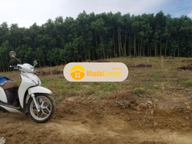 Mặt bằng bán