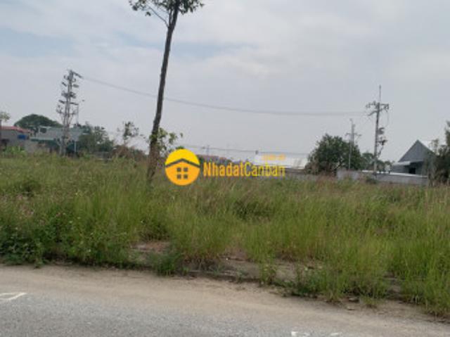 Mặt bằng bán