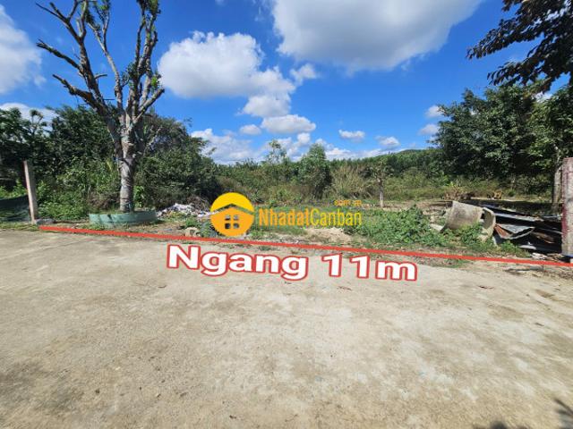 Mặt bằng bán