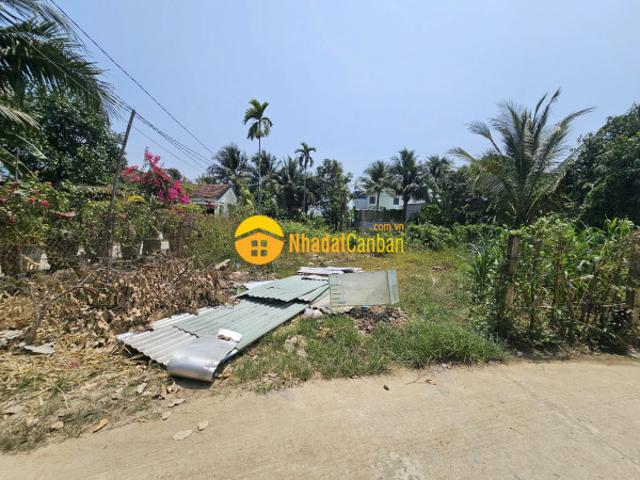 Mặt bằng bán