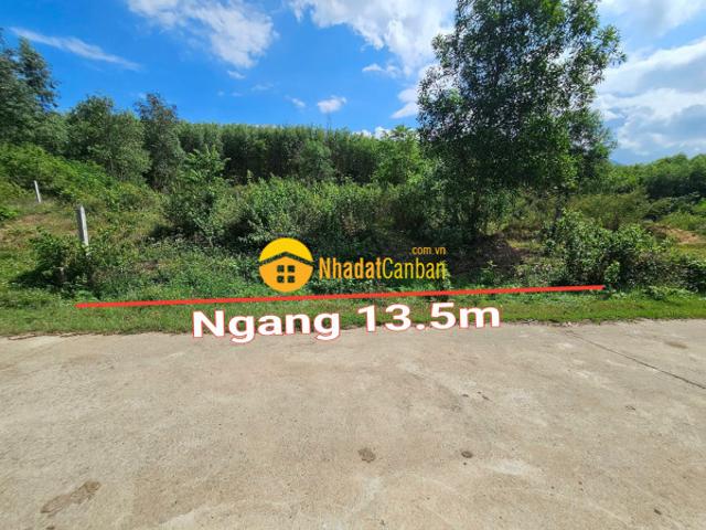 Mặt bằng bán