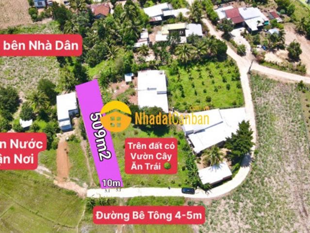 Mặt bằng bán
