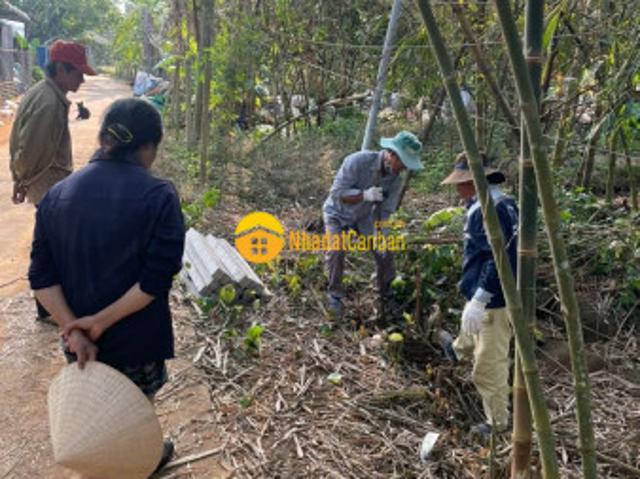 Mặt bằng bán