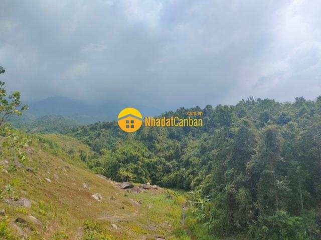 Mặt bằng bán