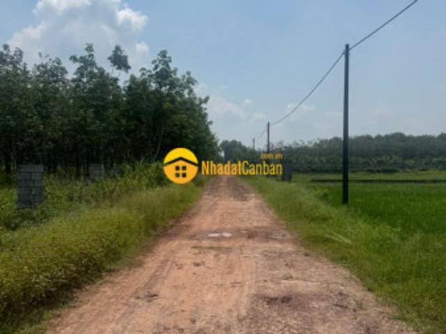 Mặt bằng bán