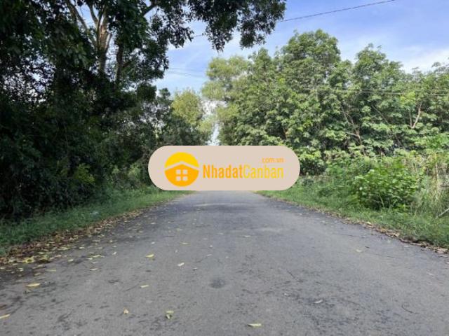 Mặt bằng bán