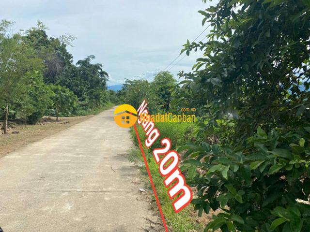 Mặt bằng bán