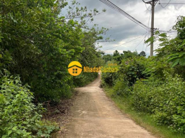 Mặt bằng bán