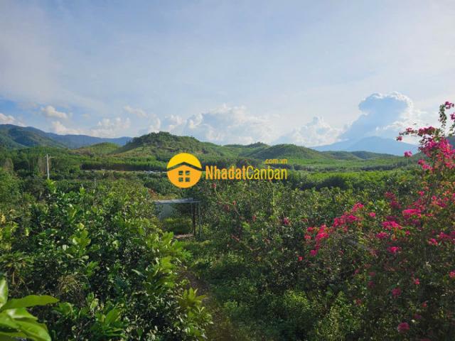 Mặt bằng bán