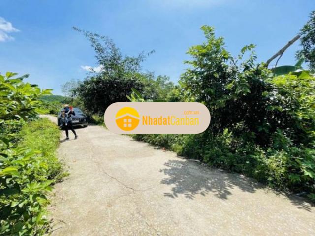 Mặt bằng bán