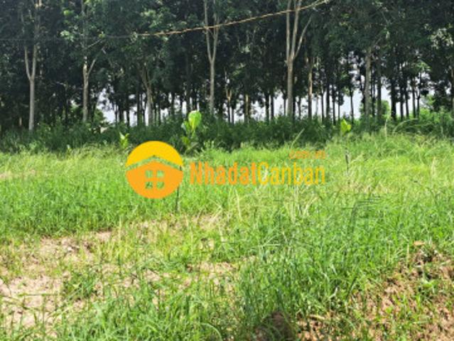 Mặt bằng bán