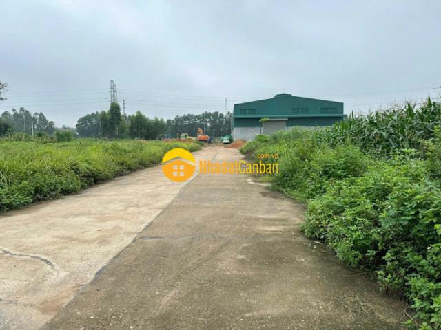 Mặt bằng bán