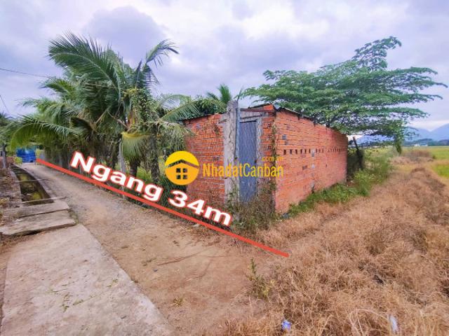Mặt bằng bán