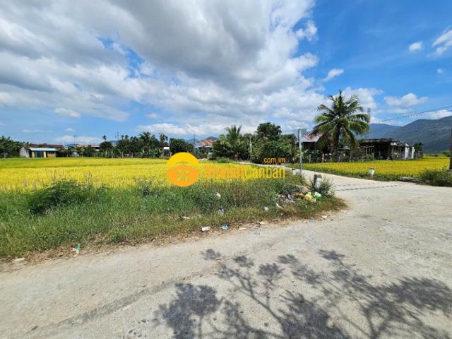Mặt bằng bán