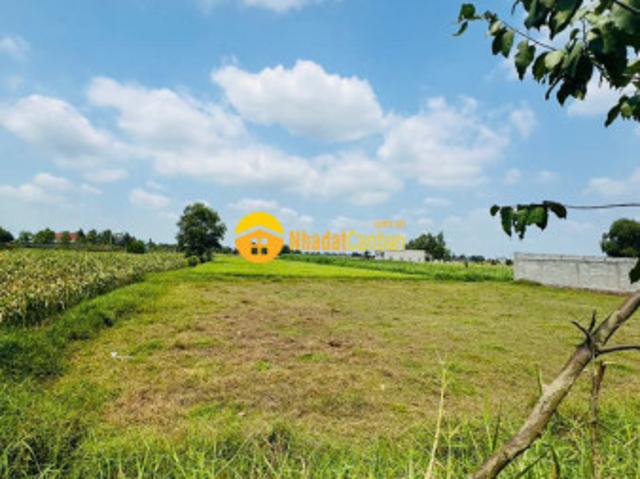 Mặt bằng bán