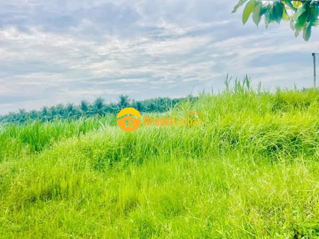 Mặt bằng bán