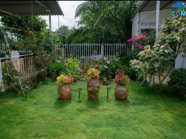 Nhà mặt phố bán