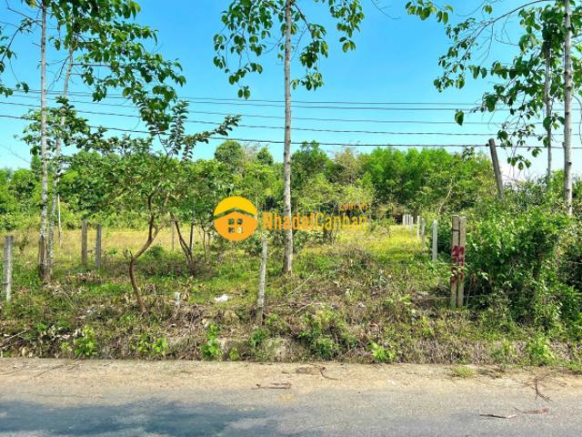 Mặt bằng bán