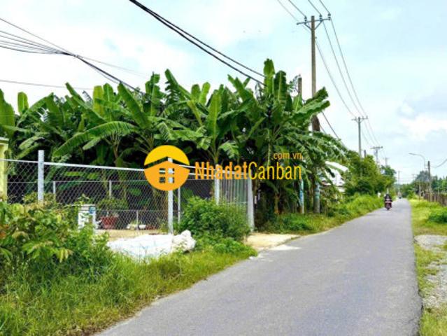 Mặt bằng bán