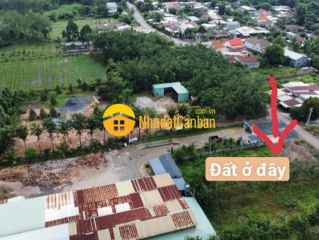 Mặt bằng bán