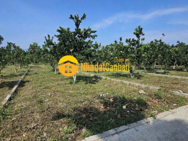 Mặt bằng bán