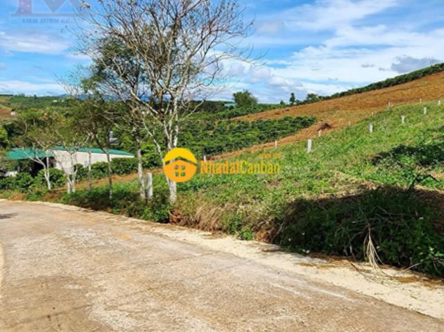Mặt bằng bán