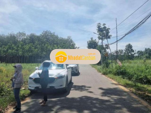 Mặt bằng bán