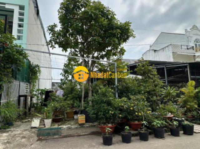 Mặt bằng bán