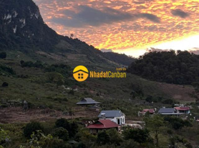 Mặt bằng bán