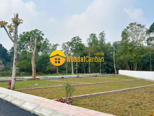 Mặt bằng bán