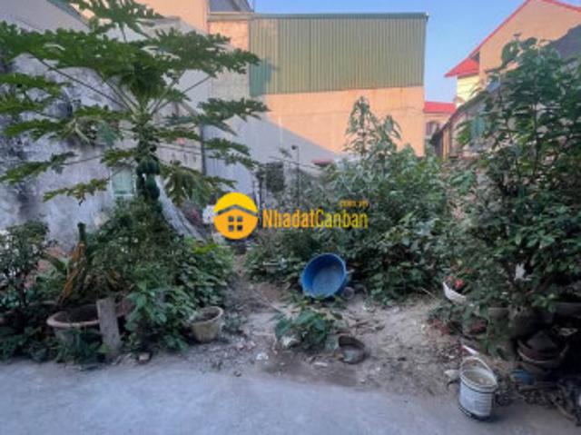 Mặt bằng bán