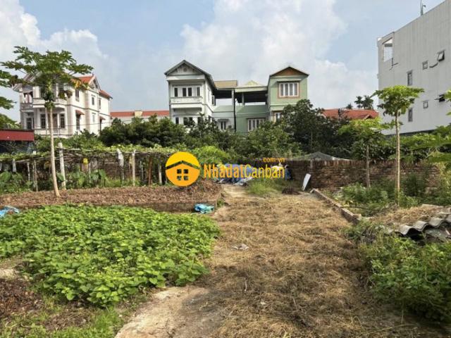 Mặt bằng bán