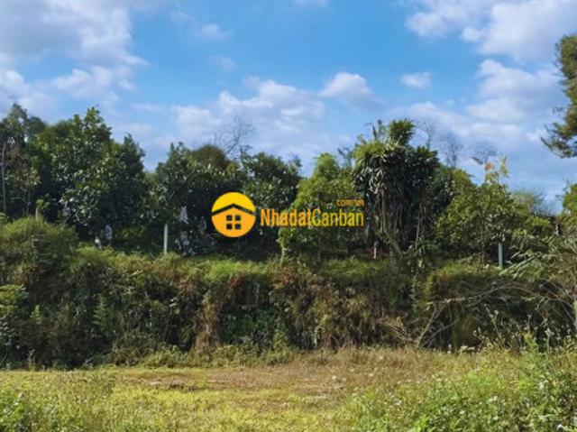 Mặt bằng bán