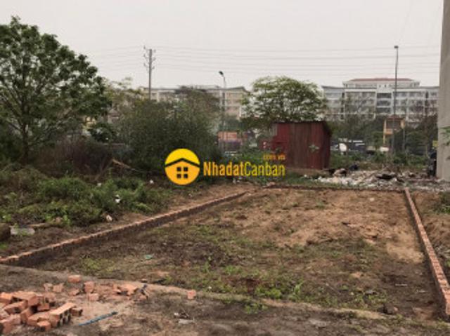 Mặt bằng bán