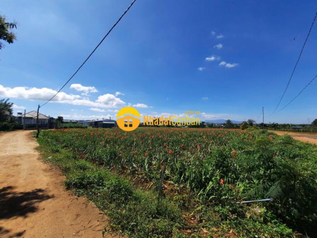Mặt bằng bán