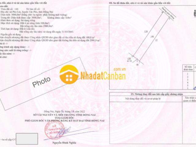 Mặt bằng bán