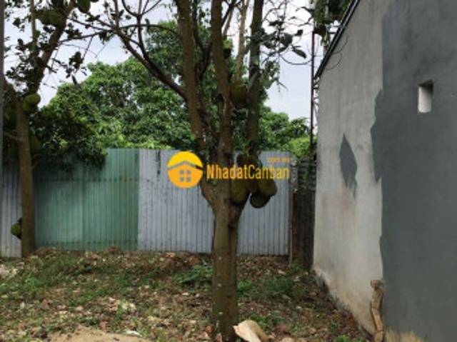 Mặt bằng bán