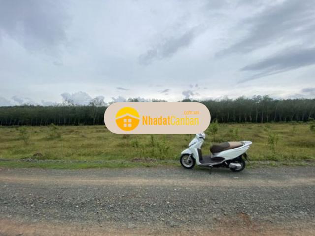 Mặt bằng bán