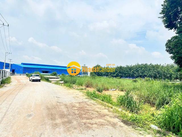 Mặt bằng bán
