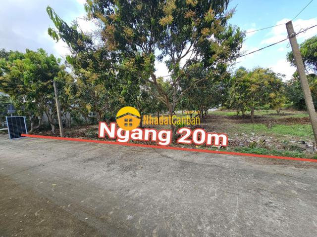 Mặt bằng bán