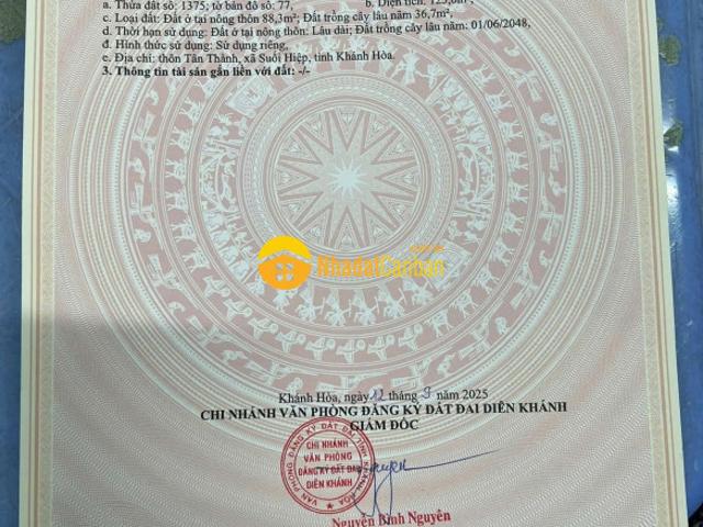 Mặt bằng bán