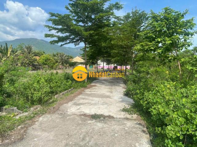 Mặt bằng bán