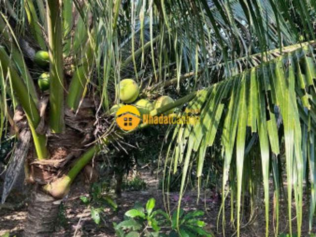 Mặt bằng bán