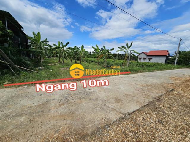 Mặt bằng bán