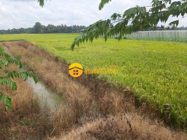 Mặt bằng bán