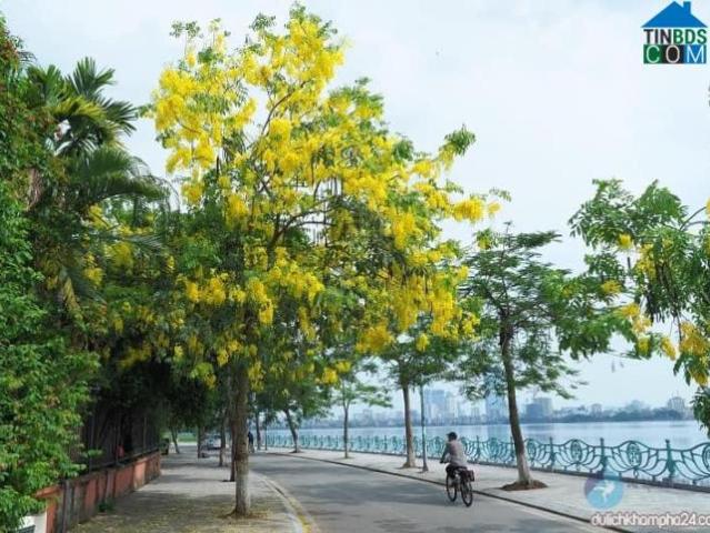 Nhà mặt phố bán tại Hoàn Kiếm, Hà Nội
