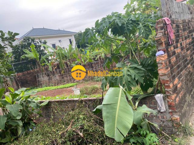 Mặt bằng bán